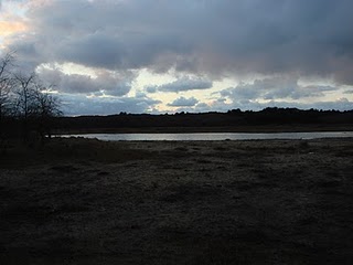 DSC03502