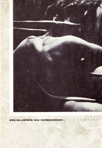 Een_wildernis