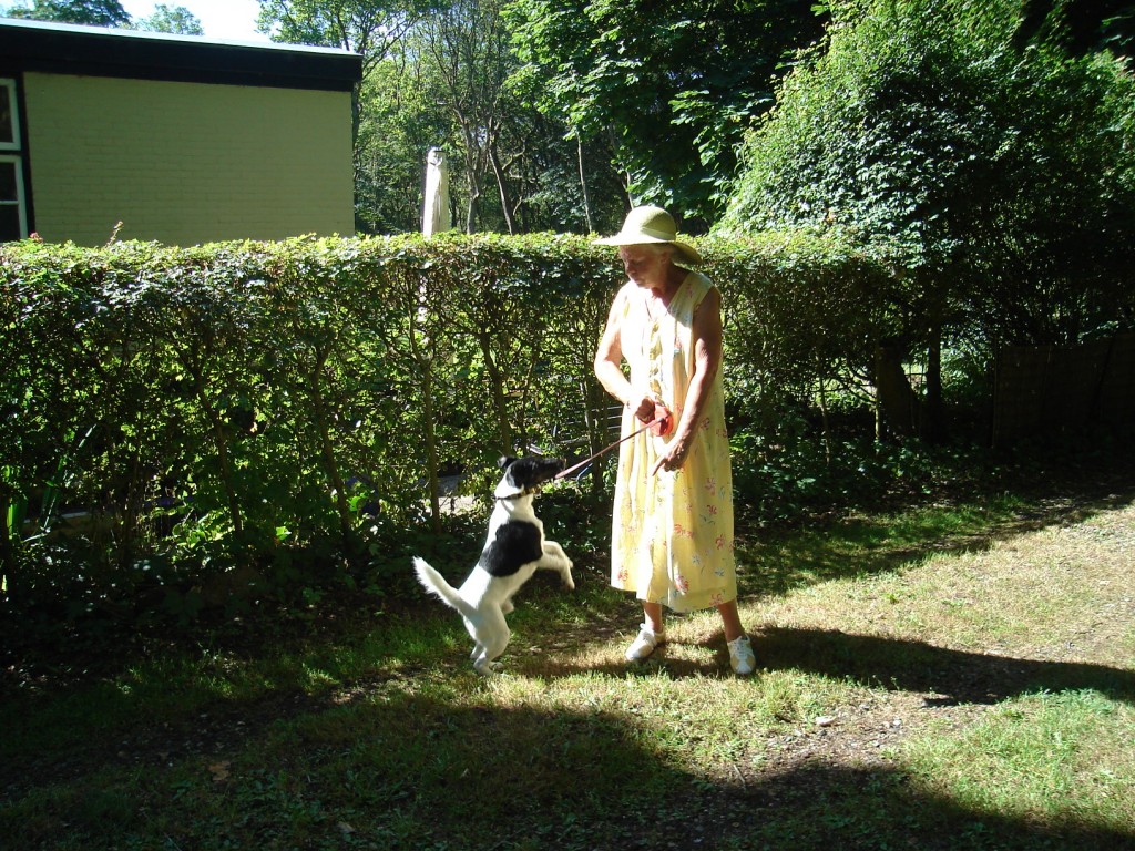 juni 10 003