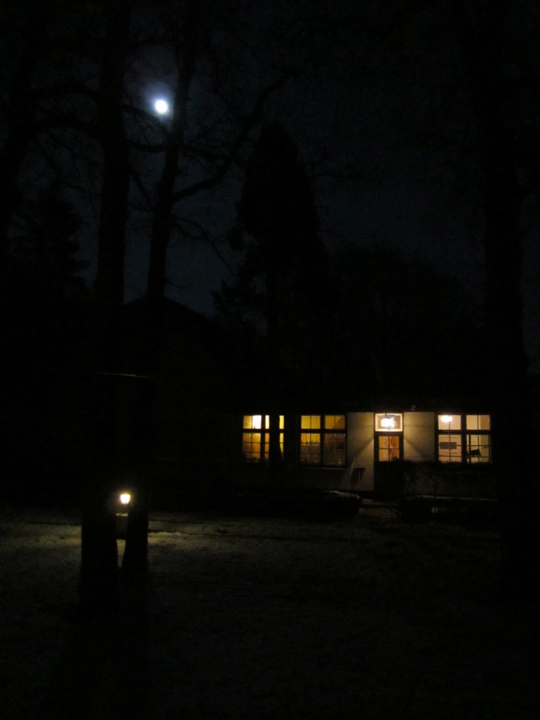 IMG_0386