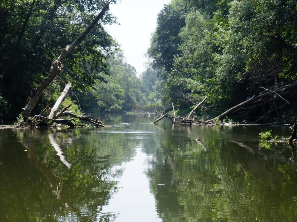River Psel